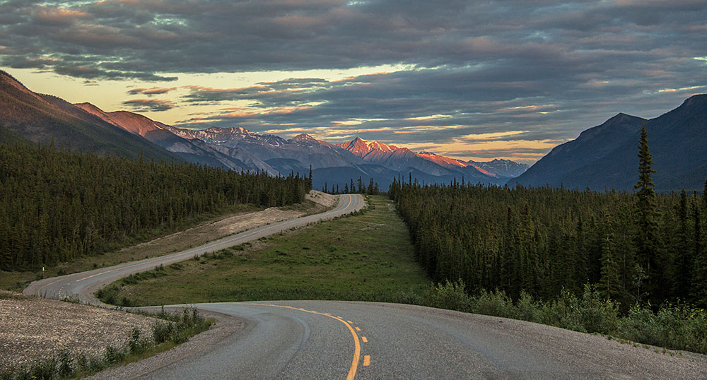 Road through forest