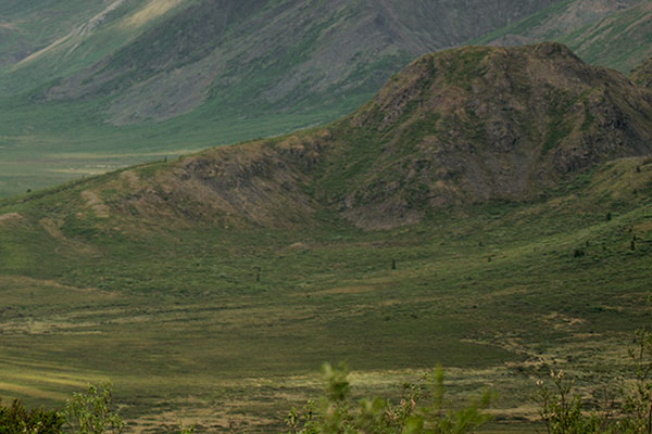 Tomb Stone Mountains